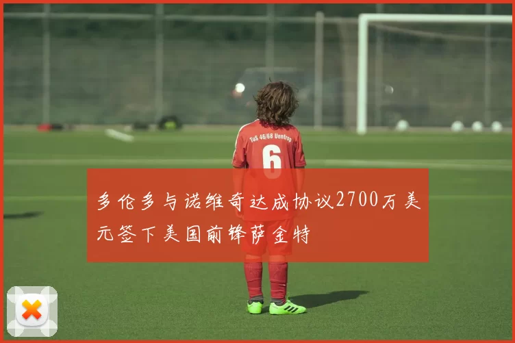 多伦多与诺维奇达成协议2700万美元签下美国前锋萨金特