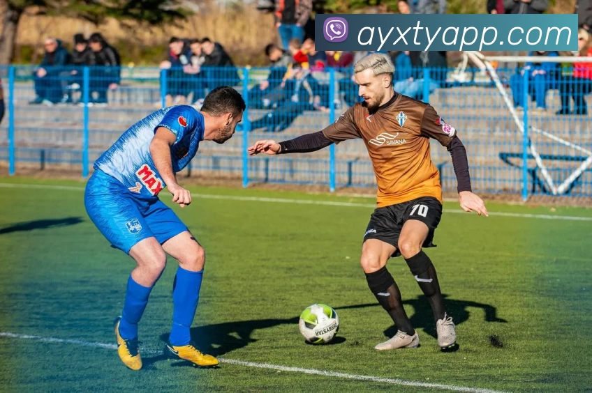 爱游戏体育APPAPP 封面图